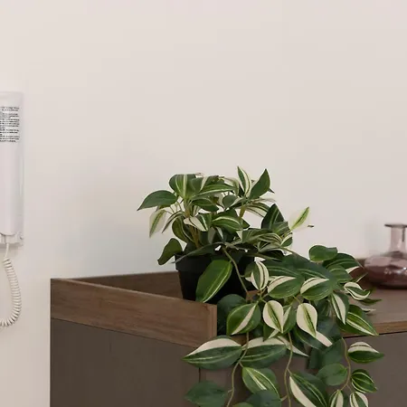 Campo Marzio Lusso Appartement